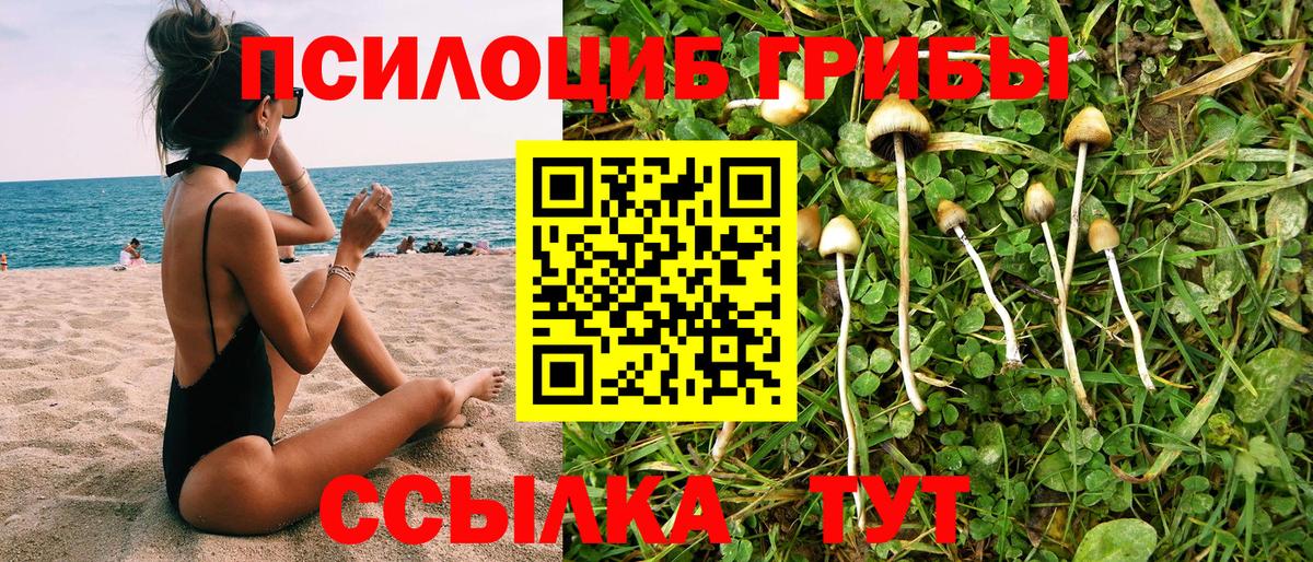 купить   Вход с VPN  Псилоцибиновые грибы GOLDEN TEACHER  Урай  Псилоцибиновые грибы Psilocybe 